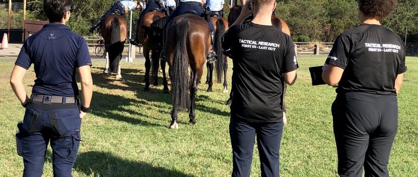 Mounted police