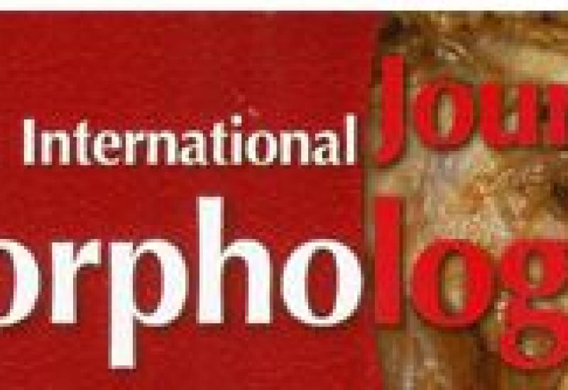Morph